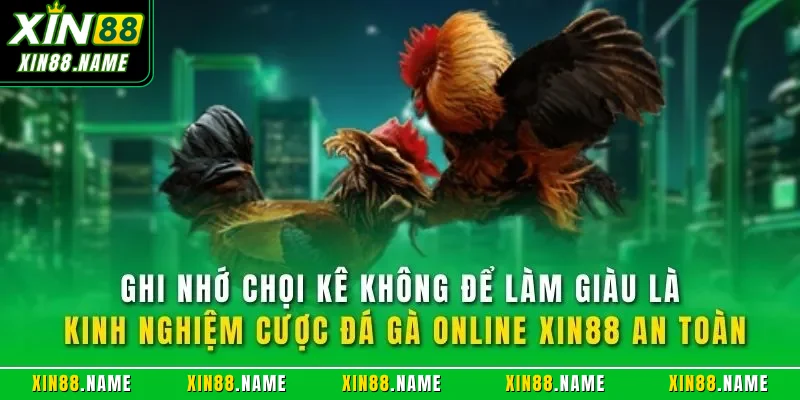 Kinh Nghiệm Cược Đá Gà Online XIN88 Hiệu Quả Từ Bậc Thầy 4 Ghi nhớ chọi kê không để làm giàu là kinh nghiệm cược đá gà online XIN88 an toàn