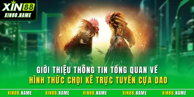 Đá Gà Cựa Dao XIN88| Trải Nghiệm Chọi Kê Online Đỉnh Cao 2 Giới thiệu thông tin tổng quan về hình thức chọi kê trực tuyến cựa dao