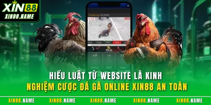Kinh Nghiệm Cược Đá Gà Online XIN88 Hiệu Quả Từ Bậc Thầy 3 Hiểu luật từ website là kinh nghiệm cược đá gà online XIN88 an toàn